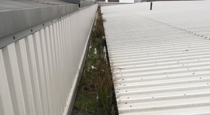 Industrial gutter in Tamworth with vegetation and debris