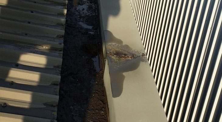 Perimeter gutter full of debris and corroded barge flashing