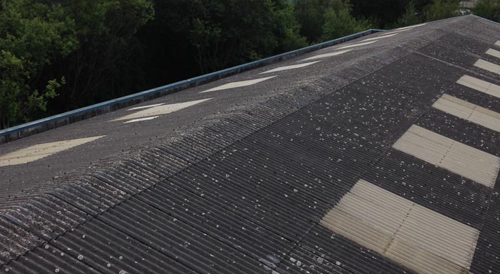 Asbestos cement roof with opaque rooflights