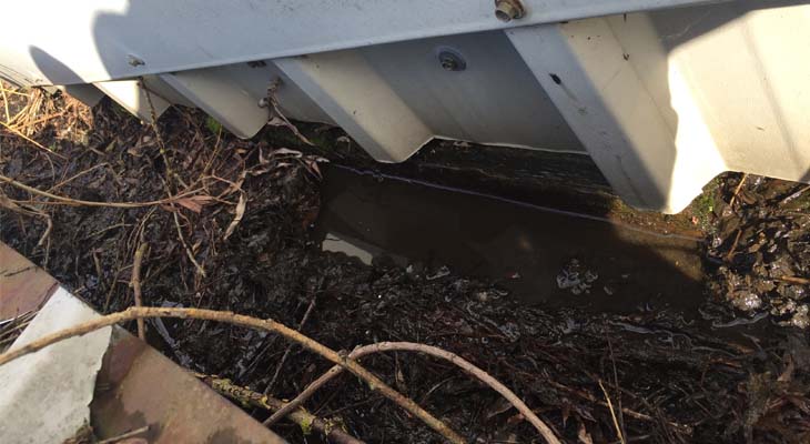 Close-up of industrial gutter vegetation build-up