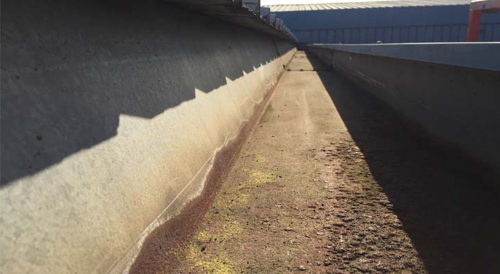 Scraping and mechanically removing rust from the gutter base