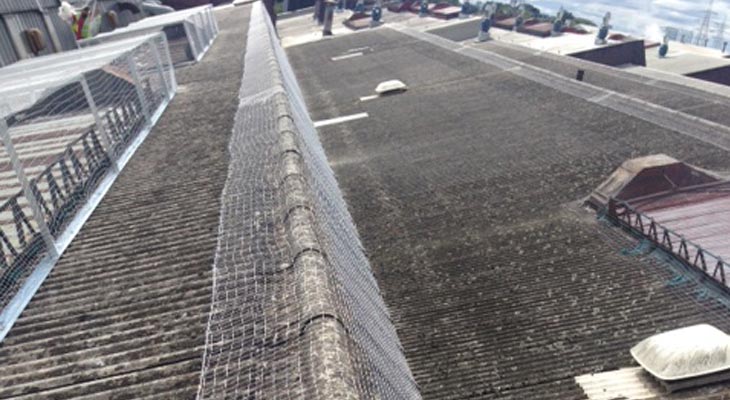 Pigeon netting connected up over a barge ridge detail