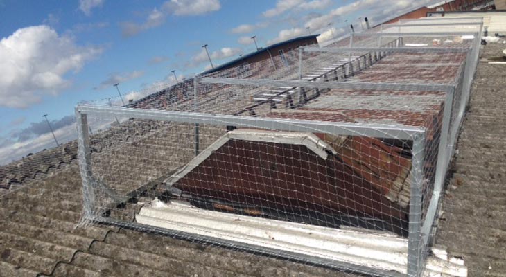 Pigeon netting installation in Birmingham