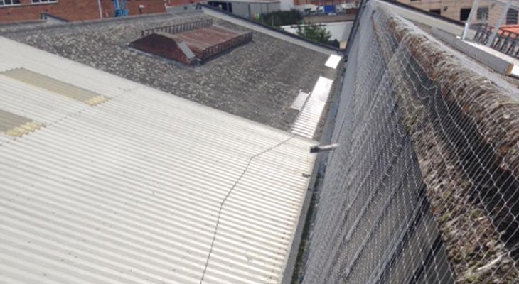 Six metre wide pigeon netting hanging down steep slope