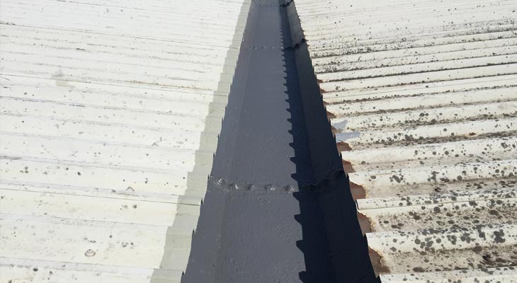 Difference between two industrial roofs after cleaning and treating with Giromax